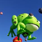 OTRA_2016_0042 (October 05, 2016)